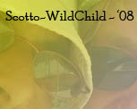Scotto & WildChild - '08