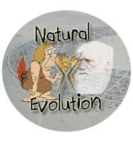 Button - 2009 - Evolution